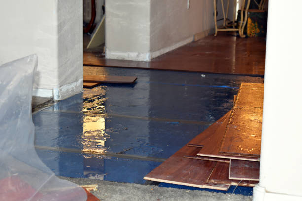 Professional Basement Flood Cleanup technician working in Hico, WV